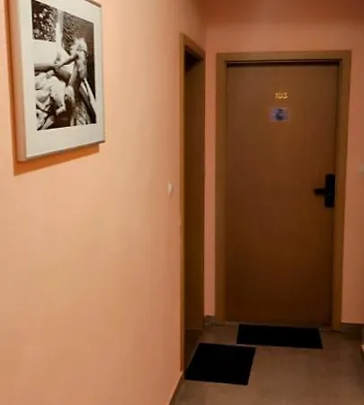 Dm * Baška Voda